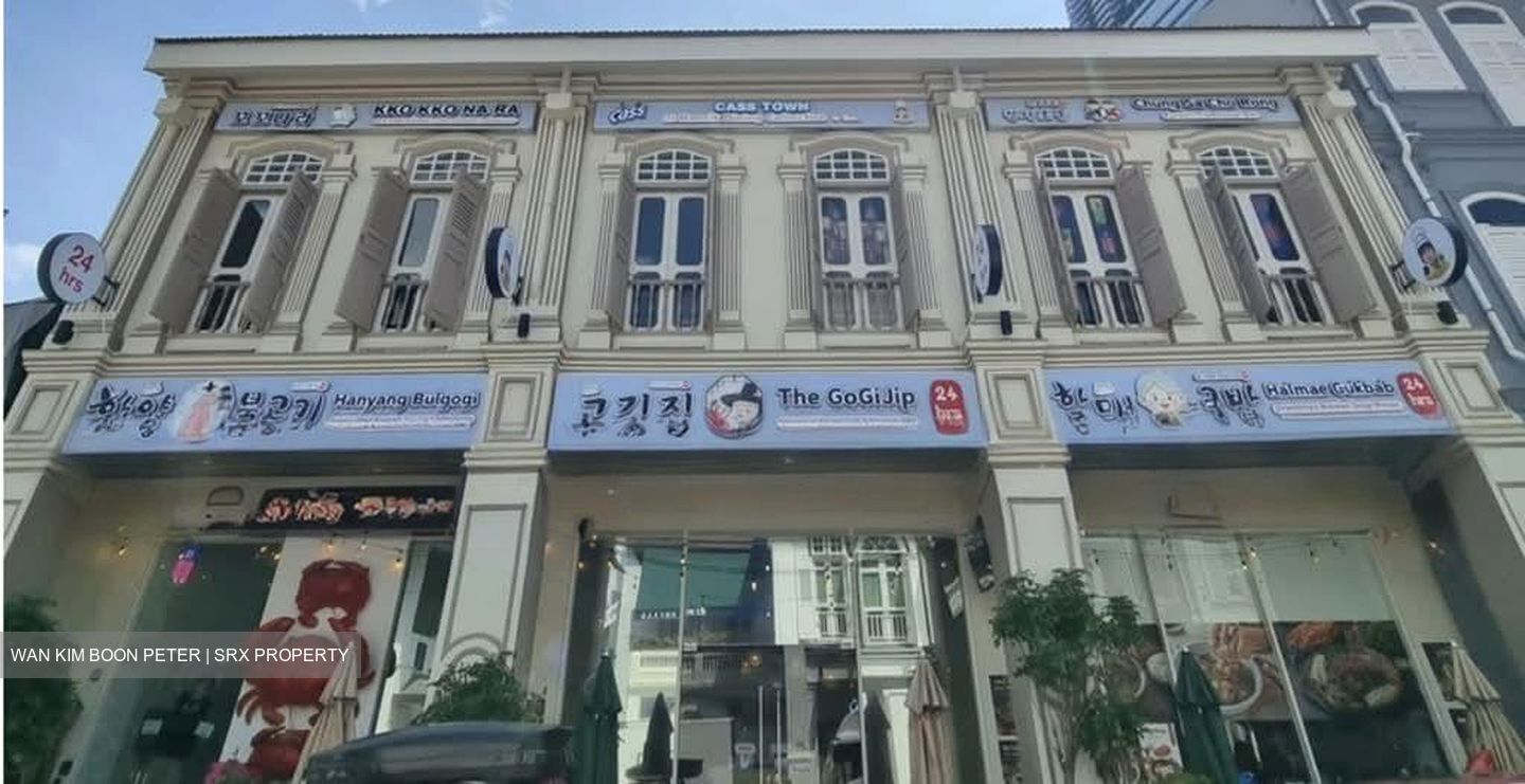 Tanjong Pagar Conservation Area (D2), Shop House #541517981